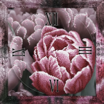  - XB CR-028