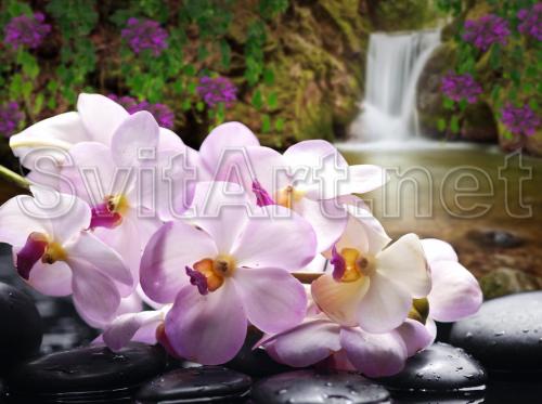 Pink orchid and waterfall - F-278
