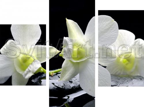 M3 F-044